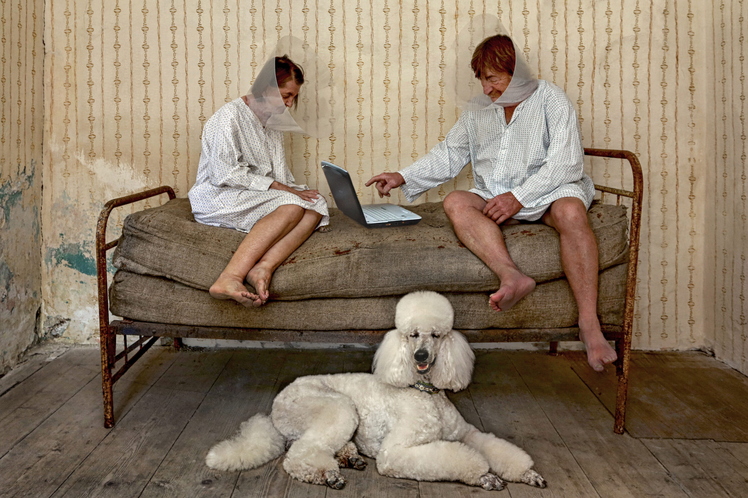 An man and elderly woman in hospital gowns sit on a bed with a poodle at their feet.