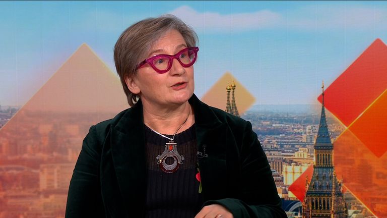 Professor Sarah Hawkes interviewed for sky news